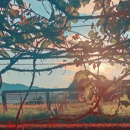 Apartman 1a Ribno - Bled