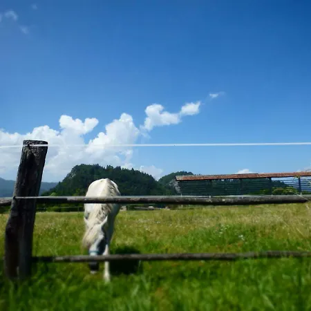 Apartman 1a Ribno - Bled