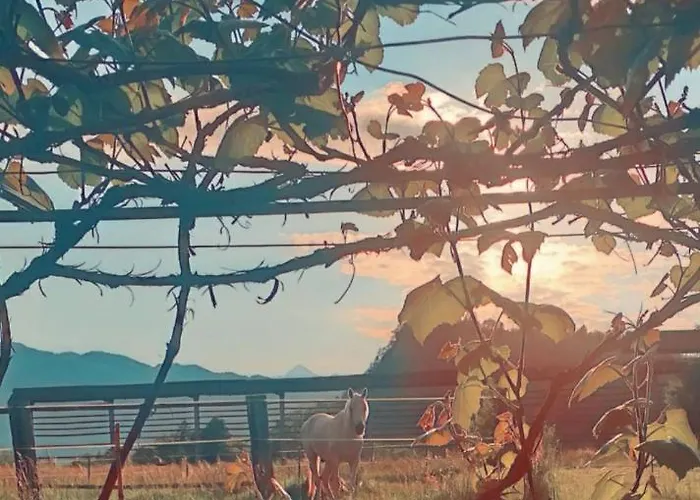 アパート 1a Ribno - ブレッド