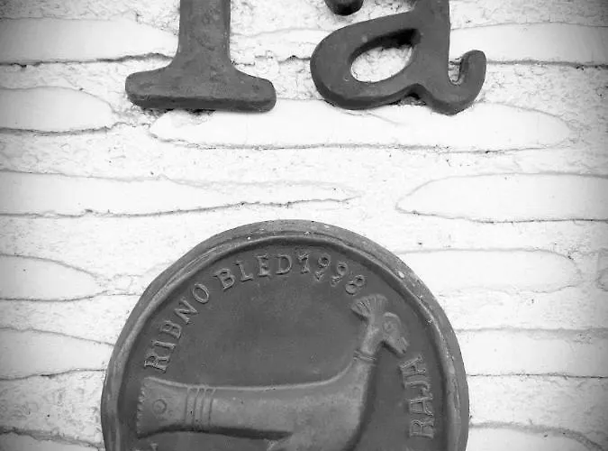 アパート 1a Ribno - ブレッド